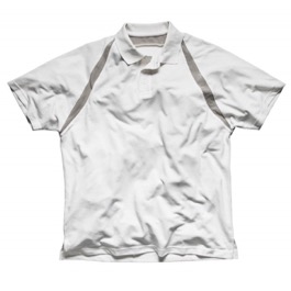 Dickies Eisenhower Painters Pro Polo Shirt